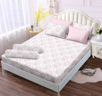 Fabricant d'usine thaïlandais doux et confortable OEM ODM Design ensemble de drap-housse élastique avec oreiller en bonbon mignon