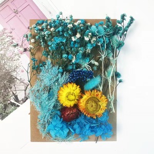 ดอกไม้งานฝีมือแบบผสมเรซินสำหรับงานศิลปะทำจากเรซิ่นดอกไม้แห้งอัดแน่นเป็นธรรมชาติ - Product Image 5