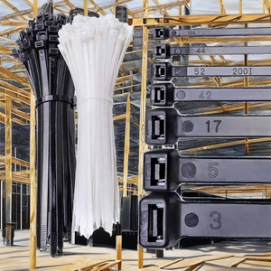 Attaches-câbles autobloquantes en nylon 66 robustes TST-300HD de 100 mm de large et 2,5 mm d'épaisseur pour une large gamme d'applications - Product Image 2