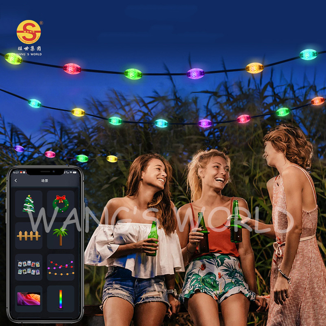 Smart Led String Christmas Lights Sound Control APP Outdoor Garden Decoration USB Smart String Lights