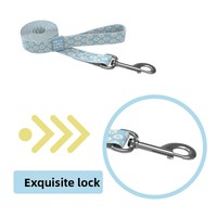 Harnais d'entraînement réglable pour chien, imprimé, anti-traction, avec logo personnalisé, en maille respirante, et laisse pour la promenade en extérieur des animaux de compagnie