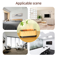 Diffuseur d'arômes TST-1420 ovale lisse de 100 ml, contrôlé par application, avec design de table ou portable