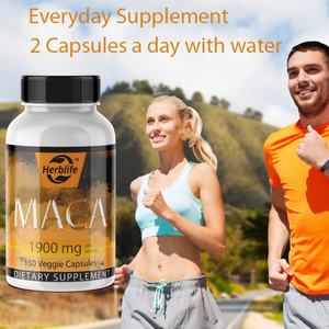 Capsules de Maca Biologique à Vente Chaude OEM/ODM pour Adultes Compléments Alimentaires à Base de Plantes - Product Image 4