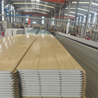 Panneaux en mousse PU écologiques, durables, ignifuges, imperméables, préfabriqués pour les murs de maisons industrielles