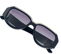 VASHAP 1018 lunettes de soleil en acétate 2023 nouveau logo personnalisé pour femmes et hommes lunettes de soleil de marque vente en gros