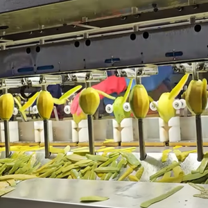 Mangue séchée molle de qualité supérieure du Vietnam fournissant un produit de collation caoutchouteux sain pour les supermarchés et les commerçants internationaux - Product Image 1