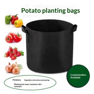 Sac de plantation et de culture de légumes en tissu non tissé respirant et biodégradable, noir, avec poignées, pour le jardinage transfrontalier - Product Image 2