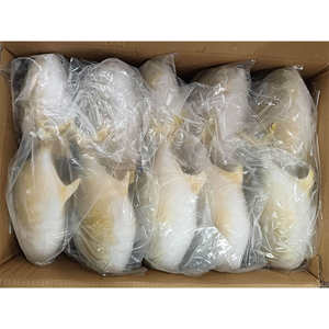 Pomfret Dorado Congelado 600-800g, Pompano Dorado de Cultivo Chino, Pomfret Dorado Entero Redondo - Product Image 3