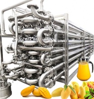 Commerciële Kleine Schaal Probiotische Yoghurt Fruit Gefermenteerde Drank Making Machine Yoghurt Fermentatie Productie Lijn