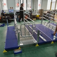 Cage de mise bas double européenne avec mangeoire et rails de protection, équipement de mise bas pour porcs facile à assembler pour les exploitations agricoles