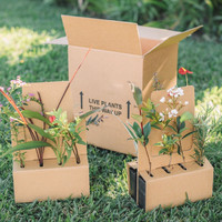 Boîtes florales recyclables en croissance de racines de plantes vivantes gaufrage pour graines de légumes Agriculture emballage extérieur expédition plantation