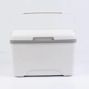 Insulated Portable Modern PP <b>Cooler</b> <b>Box</b> for Camping High Quality Recyclable Water Resistant 8L Capacity Wine & Food - Product Image 2