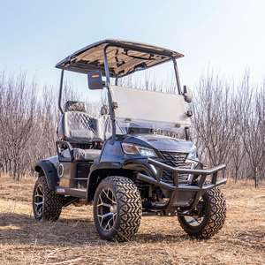 Carrito de Golf Personalizable de 2 Plazas con Batería de Litio, Vehículo Utilitario para Resort y Granja, Diseño de Alta Capacidad con Capacidad para hasta 4 Pasajeros - Product Image 5