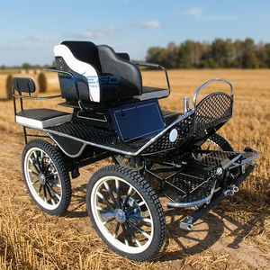 Chariot de tourisme à chevaux de loisirs très demandé, structure en acier Q235B, couleur personnalisée, marque XCEGO - Product Image 1
