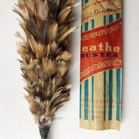 Plumeau de poulet de couleur naturelle réutilisable et écologique bon marché pour le nettoyage de la maison, de la voiture et du bureau.