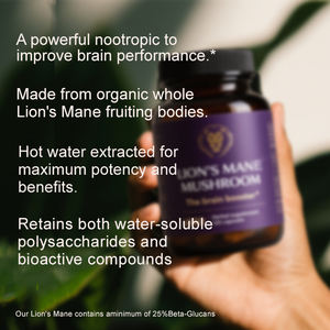 ผงแผงคอสิงโตออร์แกนิกสำหรับผู้ใหญ่อาหารเสริมแคปซูลแผงคอสิงโตเห็ดแผงคอสิงโตออร์แกนิกรสสีตามสั่ง - Product Image 5