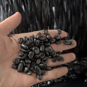 Galets et galets noirs polis naturels pour la base d'<span class=keywords><strong>aquarium</strong></span> extérieur et l'aménagement paysager d'<span class=keywords><strong>aquarium</strong></span> Arrangement de plantes aquatiques - Product Image 1