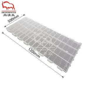 Rare Birds Slat Floor Plastic Slat Floor For Chicks Coop Equipment For Poultry Farming Wholesale Factories Customization