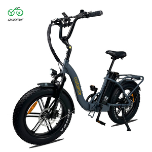 QUEENE/électrique Super puissant vitesse maximale 50km 1000w moteur vélo adulte Ele 20 pouces hors route gros pneu 48v 70km vélo électrique - Product Image 2