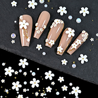 Boîte de 12 compartiments de décorations pour ongles en résine, motifs fleurs blanches, mélange de perles et micro-perles dorées, kit de strass floraux 3D, décorations de luxe pour nail art