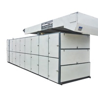 Sécheur à bande maillée automatique et continu pour poivre, machine de transformation alimentaire écologique, chauffage au gaz, pompe, moteur PLC, haute efficacité
