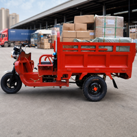 Tricycle utilitaire à essence à 3 roues avec caisse en acier, moteur à essence, véhicule de livraison pour le marché et la ferme