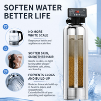 Sistem Pelunak Air Berbasis Garam dengan Resin Penukar Ion Otomatis 3000L/H Aliran Tinggi untuk Penghilangan Kekerasan, Seluruh Rumah, Berbahan Baja Tahan Karat