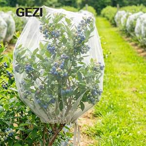 Malla de 40 ojales para invernadero, jardín de verduras, protección contra plagas e insectos - Product Image 5