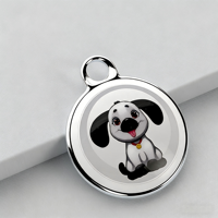 Mini Rastreador GPS Metálico IP67 Impermeable, Localizador Inteligente para Mascotas y Niños, Llavero con Bluetooth, Android, Batería y Nube, Superventas