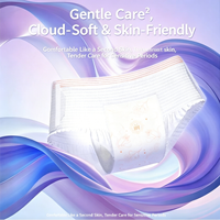 Celana Dalam Menstruasi Sekali Pakai dengan Logo Kustom, Anti Bocor Semalaman, Daya Serap Tinggi, Bernapas, Celana Saniter untuk Wanita, Penggunaan Siang dan Malam