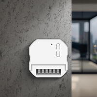 Usine de commutateur mural gradateur cc 1 canal 5A RF433 & WiFi Google Home/Alexa DC12-48v de contrôle de la lumière pour interrupteur cinétique pour