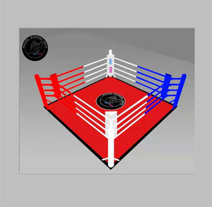 <span class=keywords><strong>Ring</strong></span> da Boxe Pieghevole Multifunzionale di Alta Qualità - Product Image 2