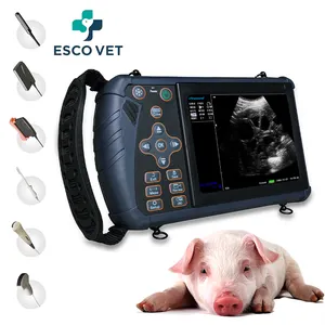 Venda quente Máquina de ultrassom veterinária portátil para animais de gado, equipamento convexo mais barato