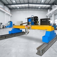 Découpeuse plasma CNC à portique grand format avec double entraînement pour la fabrication métallique