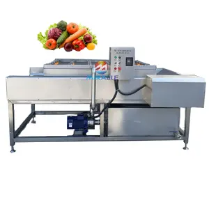Sikat paralel industri tipe bergerak mesin cuci buah gairah mesin cuci buah sayuran dan sikat buah
