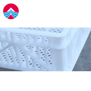 Boîte d'élevage de poussins épaissie avec filet, bac de congélation pour aliments frais épaissi, grand panier d'éclosion de volaille - Product Image 6