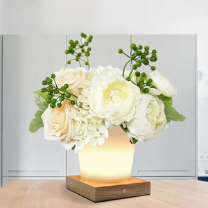 Pot de fleurs pour l'extérieur, lampe décorative <span class=keywords><strong>LED</strong></span> pour jardin, cour, salon, balcon - Product Image 5