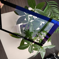 Panneau en verre trempé transparent personnalisable en masse avec revêtement AR AF, verre optique Corn Gorilla, verre Asahi Whistle