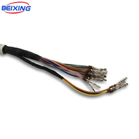 Harnais de câblage automobile personnalisé avec connecteurs multiples E00196, assemblage de câblage électronique pour véhicule isolé en PVC, IP66 12V pour voitures