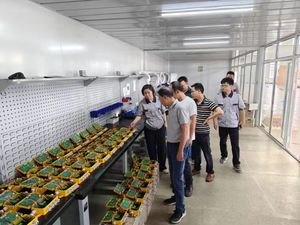 ราคาไซเรนเตือนภัย 24 โวลต์ - Product Image 6