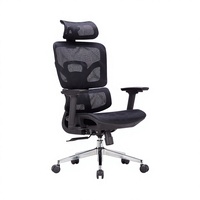 Chaise de bureau ergonomique en maille, pivotante et réglable, avec support lombaire et appui-tête