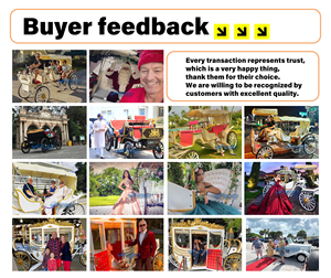 Gemotoriseerde Cinderella Prinses Pompoen Paardenkoets Met Wit Lichaam En Roze Stoel Luxe Bruiloft Paard Koets Te Koop - Product Image 6