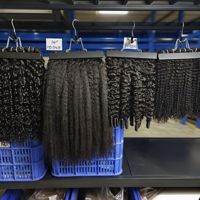 Extensiones de Cabello Humano Virgen sin Procesar al por Mayor, Cabello Indio con Cutícula Alineada, Cabello Rizado Camboyano, Cabello Rizado Birmano, Extensiones Frontales HD