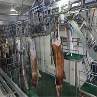 Palan de boucherie robuste pour bétail, utilisé dans les abattoirs de buffles et les usines de transformation de la viande bovine avec système d'inclinaison pour l'abattage du bétail