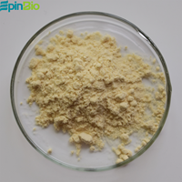 Poudre d'extrait naturel de feuille d'olivier Oleuropeine 10%-80% CAS 32619-42-4
