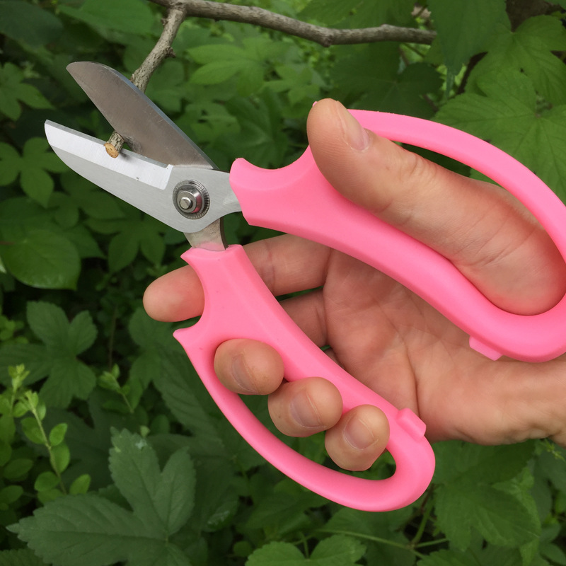 Семян грейпфрутовых косточек высокого серпы цветок ножницы для обрезки цветочный садовые ножницы