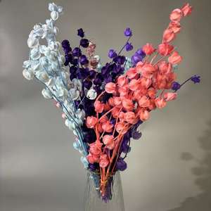 Vente chaude, fleurs préservées de bonne qualité, Poha, groseille à maquereau pour fleurs décoratives - Product Image 2