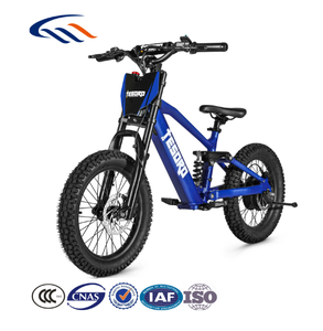 Mini vélo équilibré Vélo d'équilibre électrique de 12, 16, 18, 20 pouces à bas <span class=keywords><strong>prix</strong></span> et multi-style pour enfants - Product Image 4