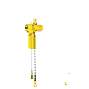 Polipasto Eléctrico de Cadena de 1 Tonelada, 220V/380V, Monofásico/Trifásico con Carro <span class=keywords><strong>ALLMAN</strong></span> - Product Image 2