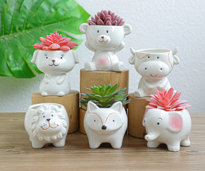 Muebles para el hogar Lindo Animal de dibujos animados en forma de cerámica Terracota Mini macetas Juego de 6 piezas para flores suculentas y uso en el jardín - Product Image 3